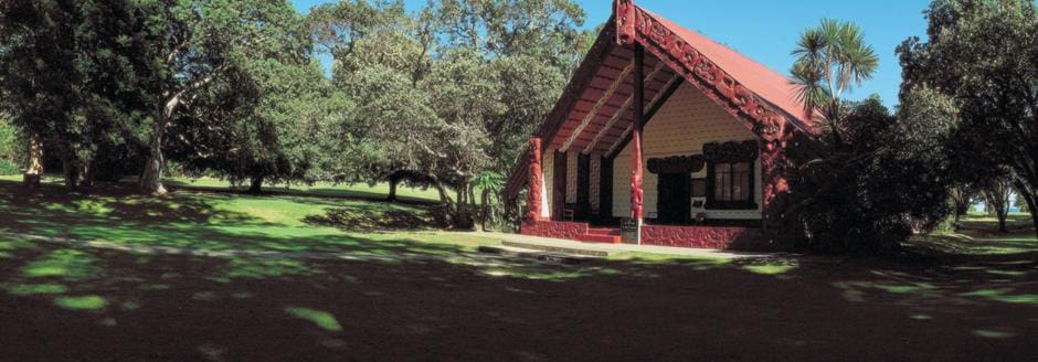 Hut shaped home in park with Tress all around