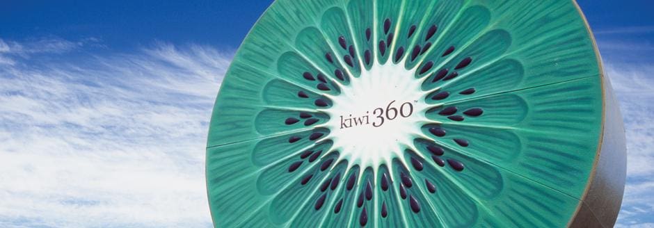 symbol of kiwi